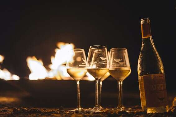 ספארי לילה יקב רמת הגולן // צילום עדי פרץ